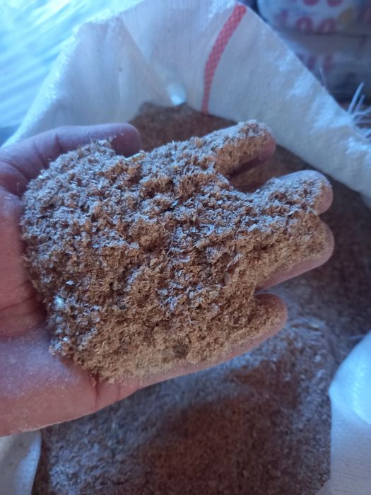 Vând Tărâțe de grâu