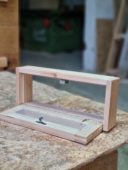 Lazi de albine de vanzare