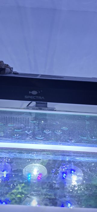 Acvariu 150l complet cu sump