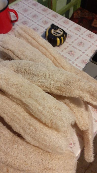 Lufa burete natural luffa