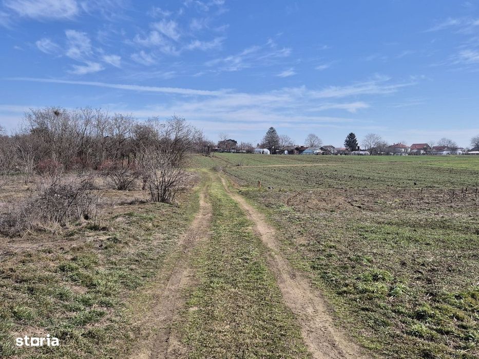 Trestieni - Ulmi, vanzare teren 1.663mp, intravilan