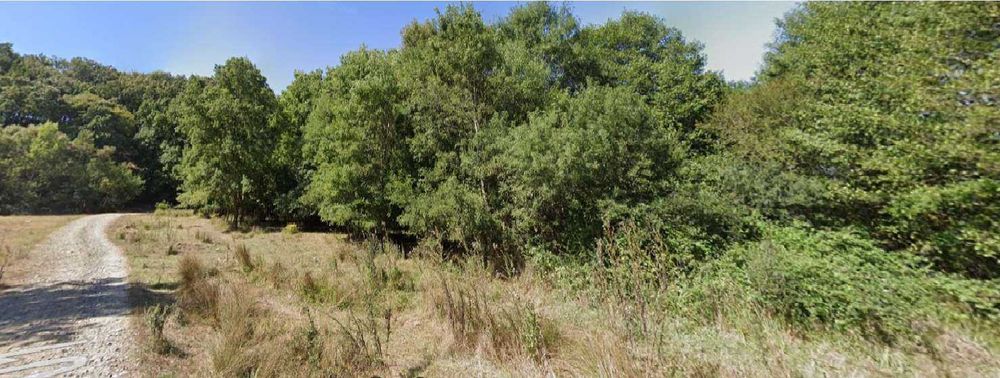 Продава се Парцел в с. Синеморец, Област Бургас - 3981 кв.м за 60 €/кв.м - Снимка #1