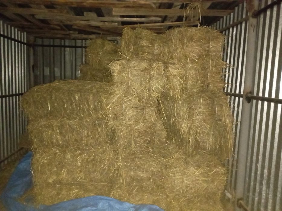 Продам сено в тюках