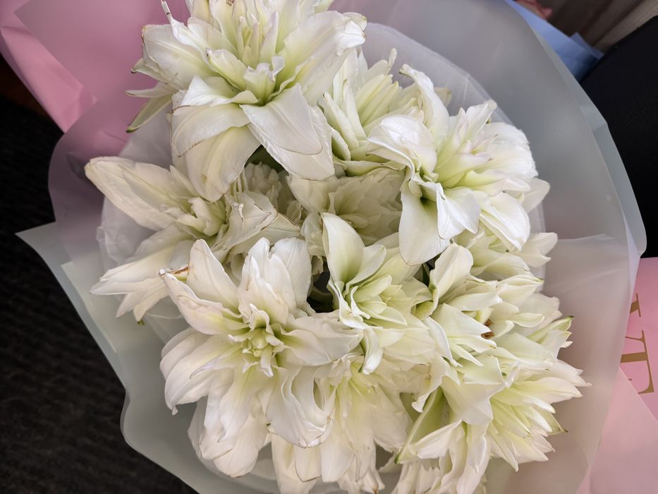 Продам цветы срочно