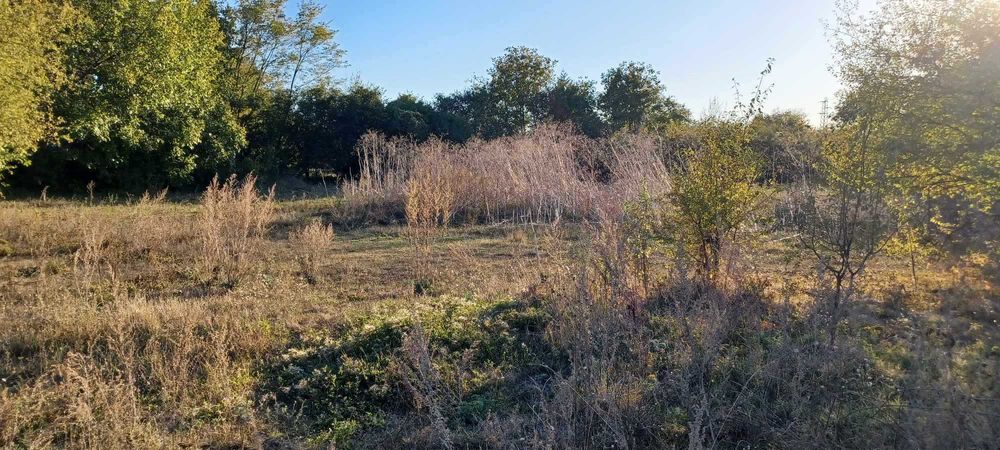 Продава се Парцел в Варна, Трошево - 3600 кв.м за 0 €/кв.м - Снимка #1