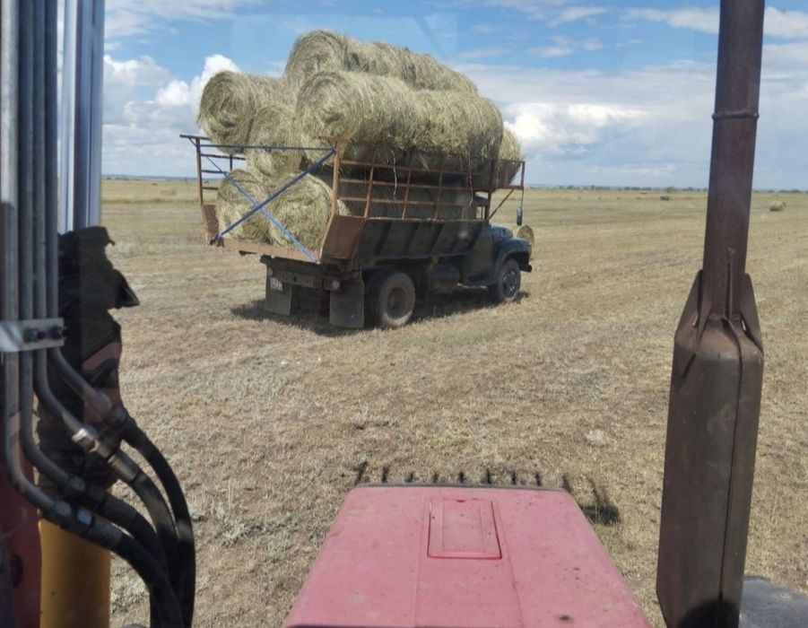 Сено в Тюках и Руллонах