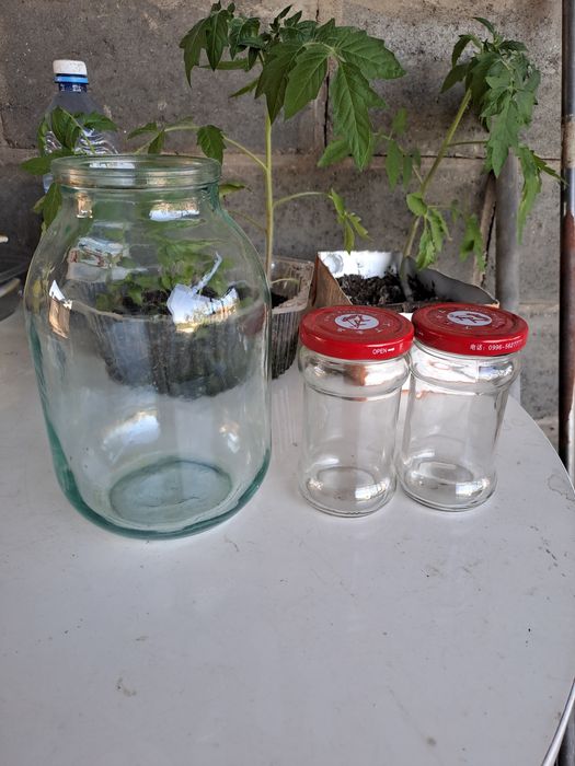 Банки 2-х литровые