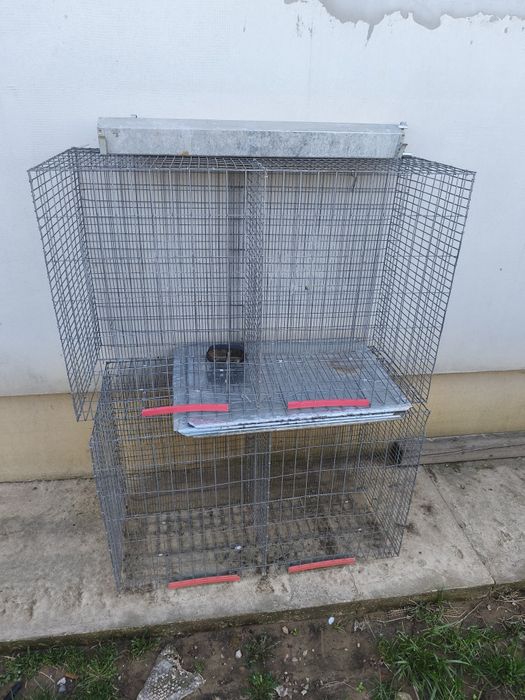 Cușcă prepelițe,pui!