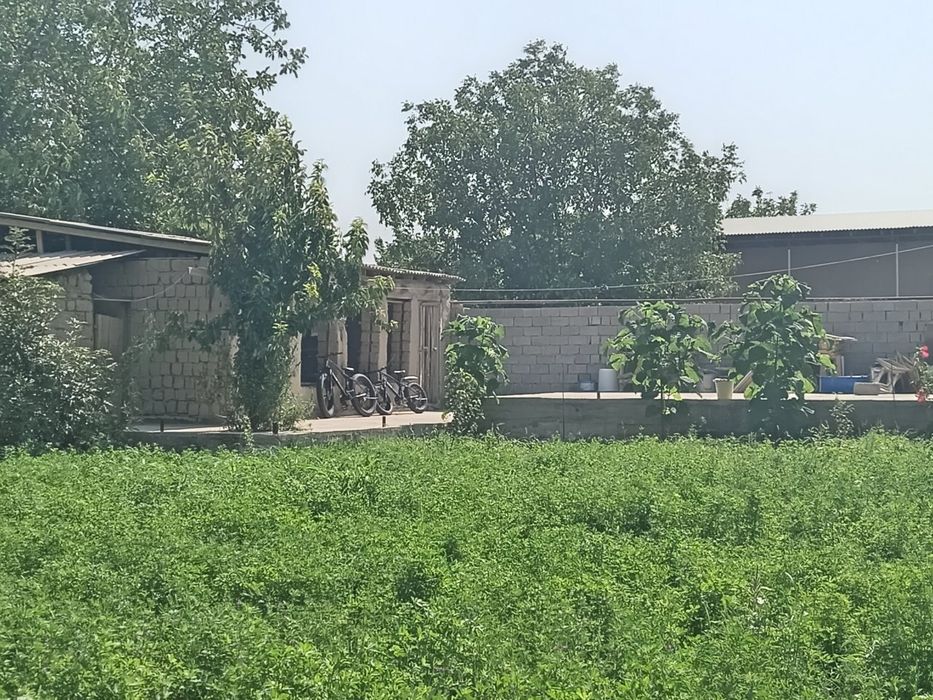 Samarqand vil. Pastdargom tumani. Nayman mahallasida yer sotiladi