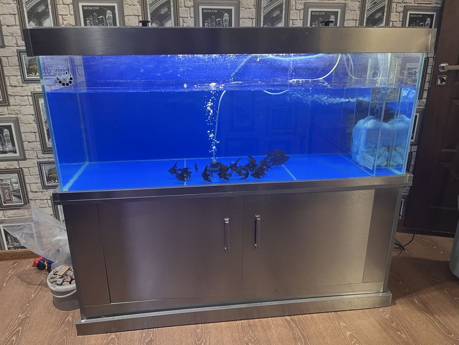 Akvaryum satiladi 3 mln ga berip jiberemen