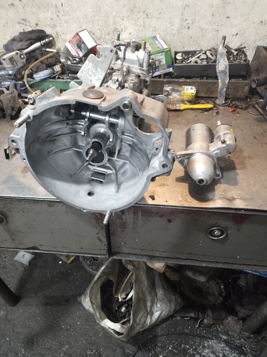 Дамас каропка заднимост бор