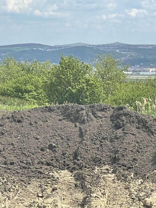 Pământ vegetal nisipos și negru pt amenajări curți și grădini