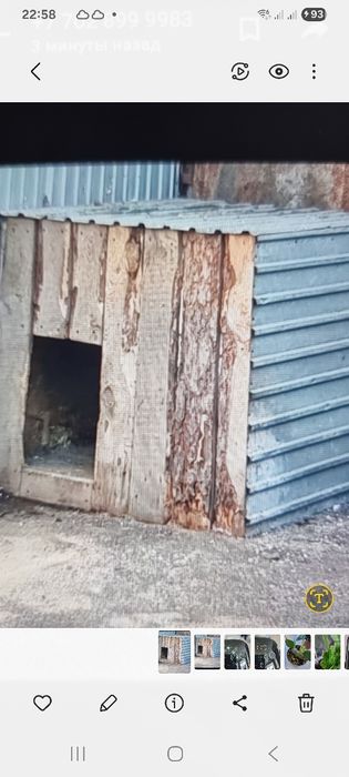 Домик для собаки