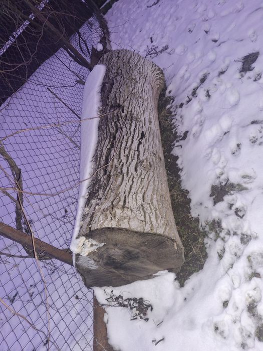 Se vinde buatean nuc