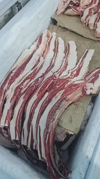 Продам согым сирактап