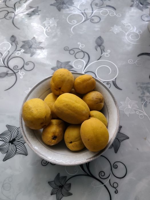 Продам плоды японской айвы из домашнего сада