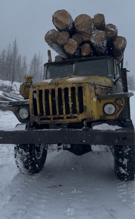 Продам лес не ограниченном количестве