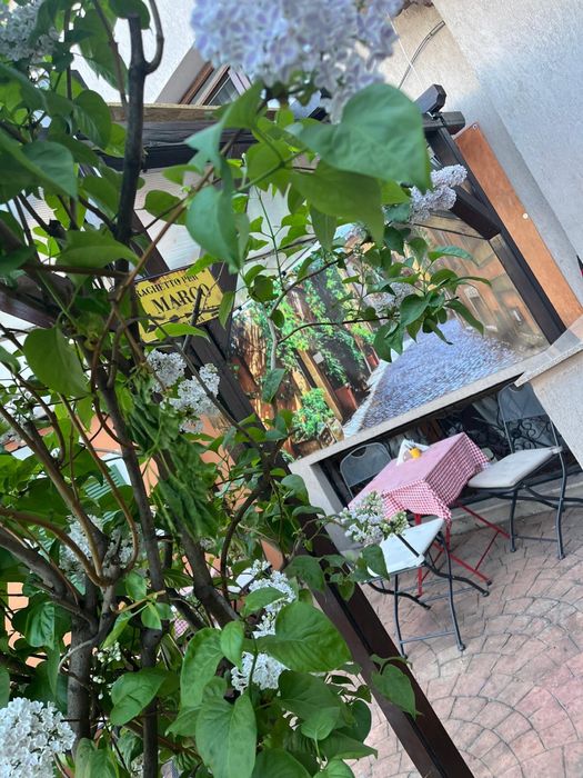 Preluare Afacere - Franciza Cannoleria din Sector 2