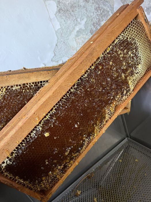 Пчелен мед “Букет”