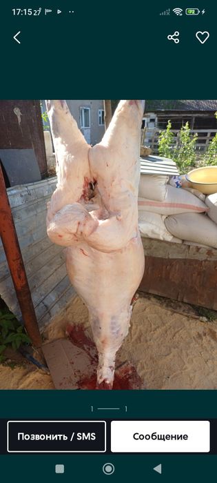 Мясо баранины шашлык