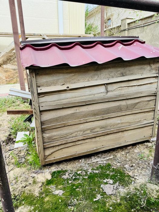 домики для собак