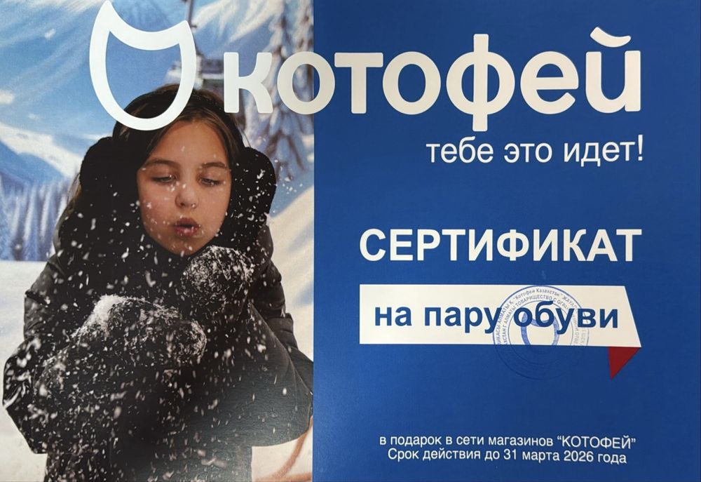 Сертификат котофей