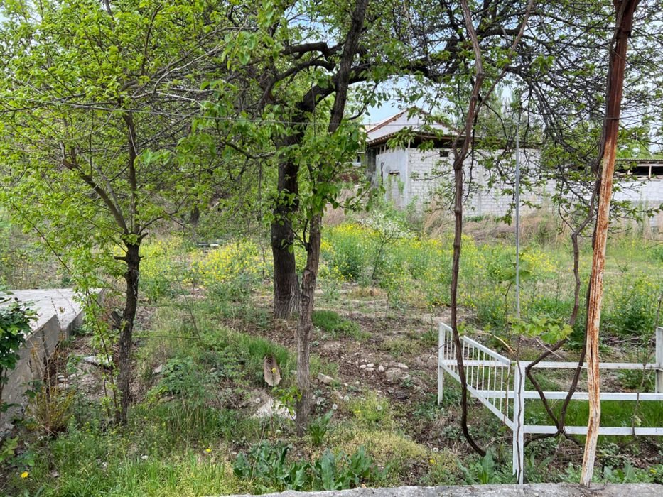 Готовая дача всеми условиями. Таёр дача