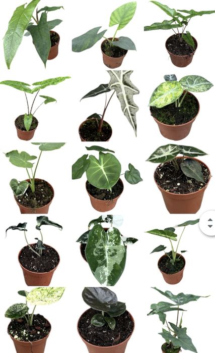 Приглашаю в группу