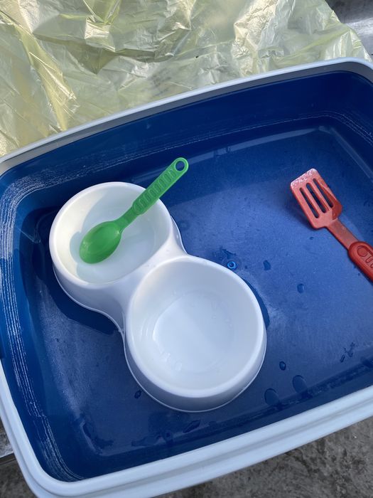 Продам набор для котенка