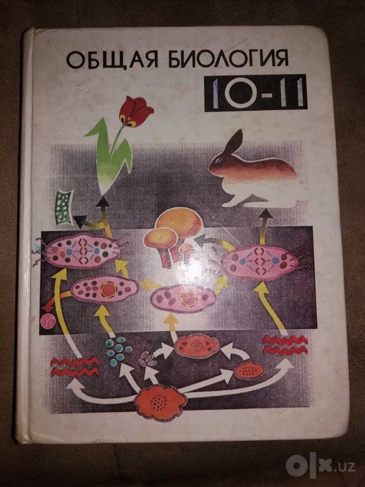 Учебники, хрестоматии, сборники