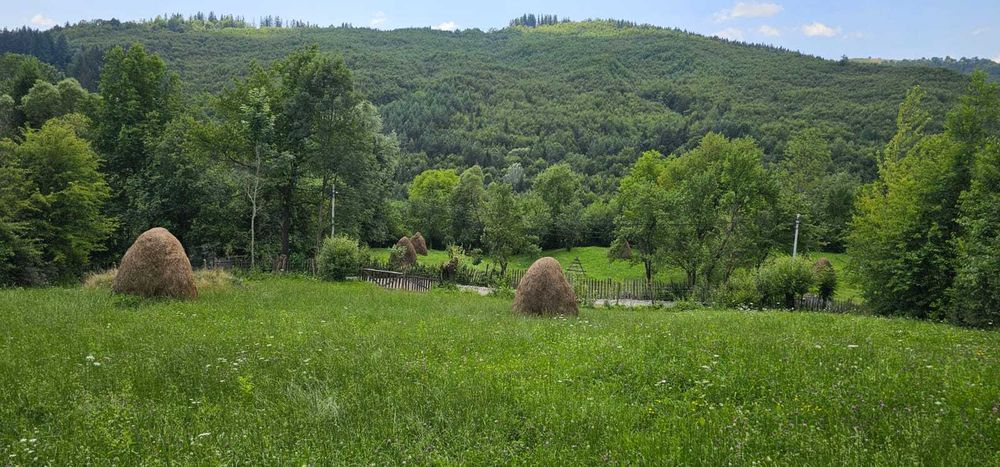 Teren intravilan 2.000 mp de vanzare in comuna Valea Doftanei, Sat Tesila - zona superba, case de vacanta.