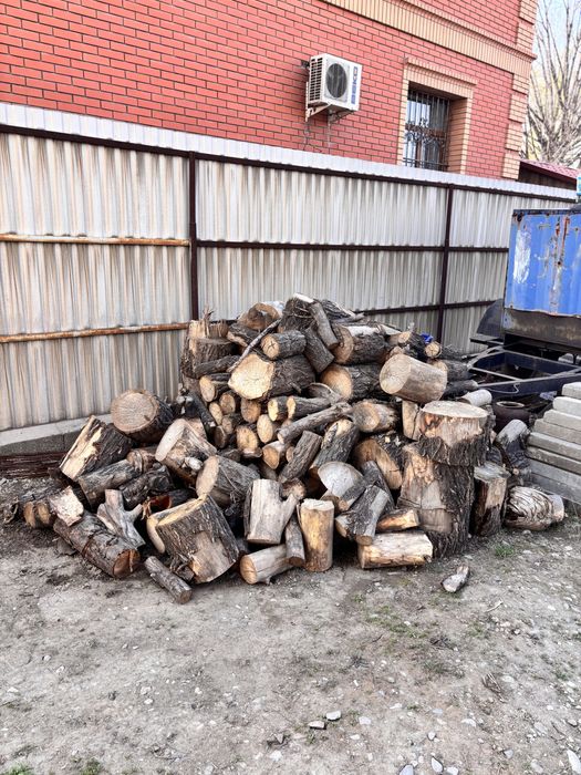 Карагач,Дрова,баня,шашлык,Сак,Мтз,сварочное оборудование