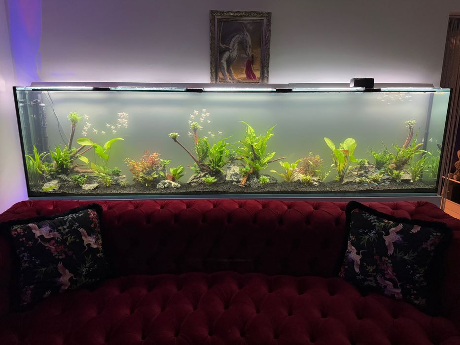 Поддръжка и изработка на аквариуми  Аква Кеър