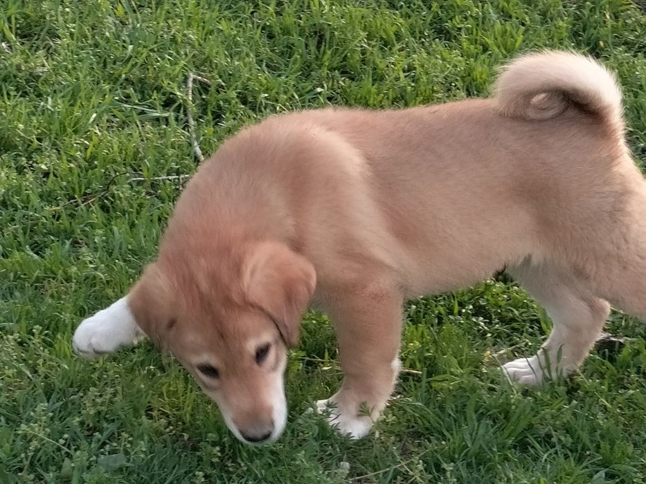 екуі сатылады сауда бар