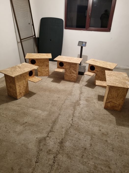 Cuibare rațe exotice