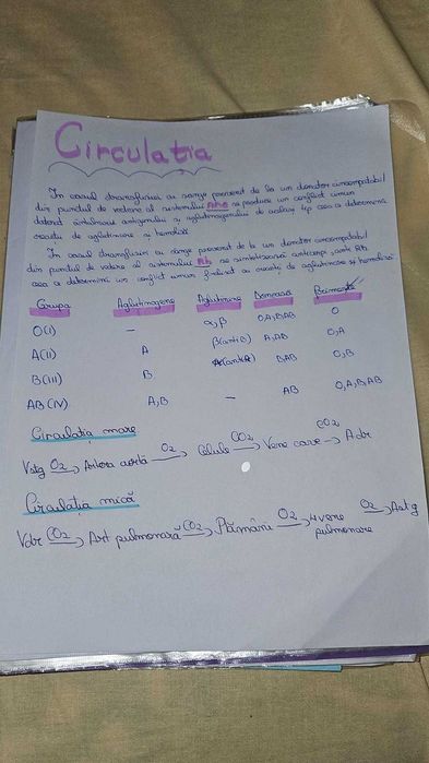 Ofer pregătire la biologie pentru examenul de Bacalaureat
