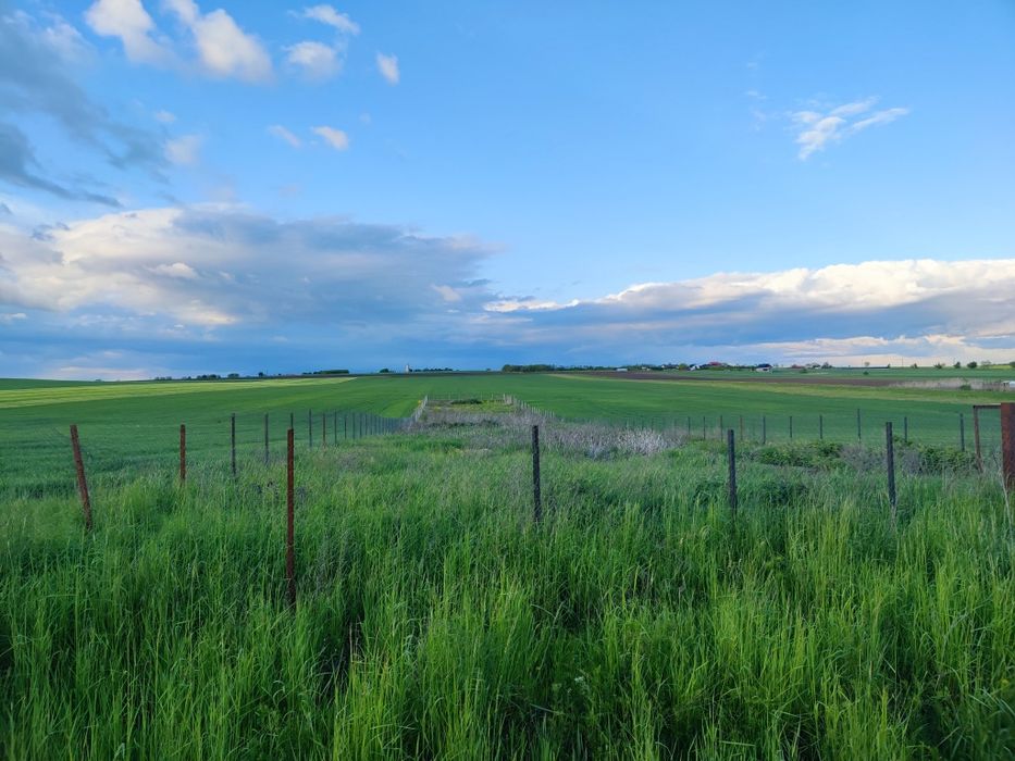 Teren Răchiți poligon