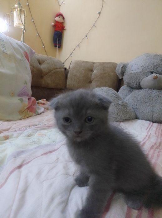 Обращайтесь в телеграм