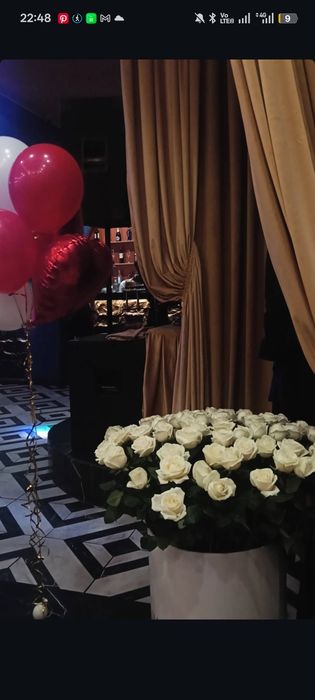 Цветы белое роза 51 штук