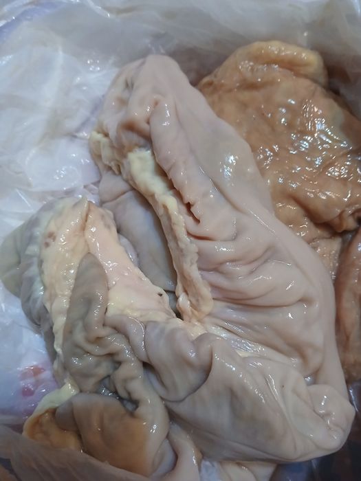 Продаю кишки коровьи и лошади