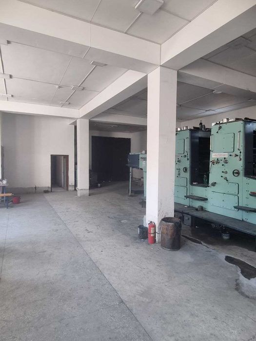 Bino (ko'chmas mulk)