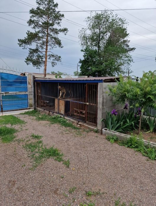 Продам или обменяю дом