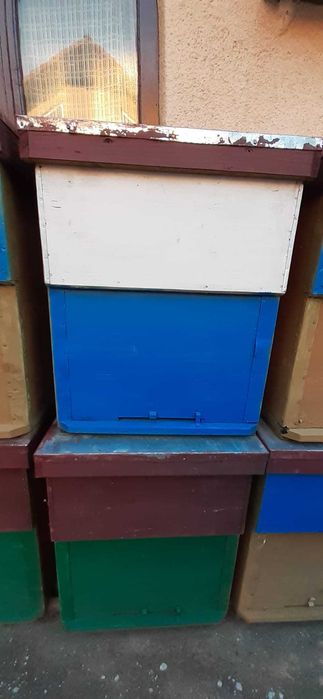 Lazi stupi de albine. NOI