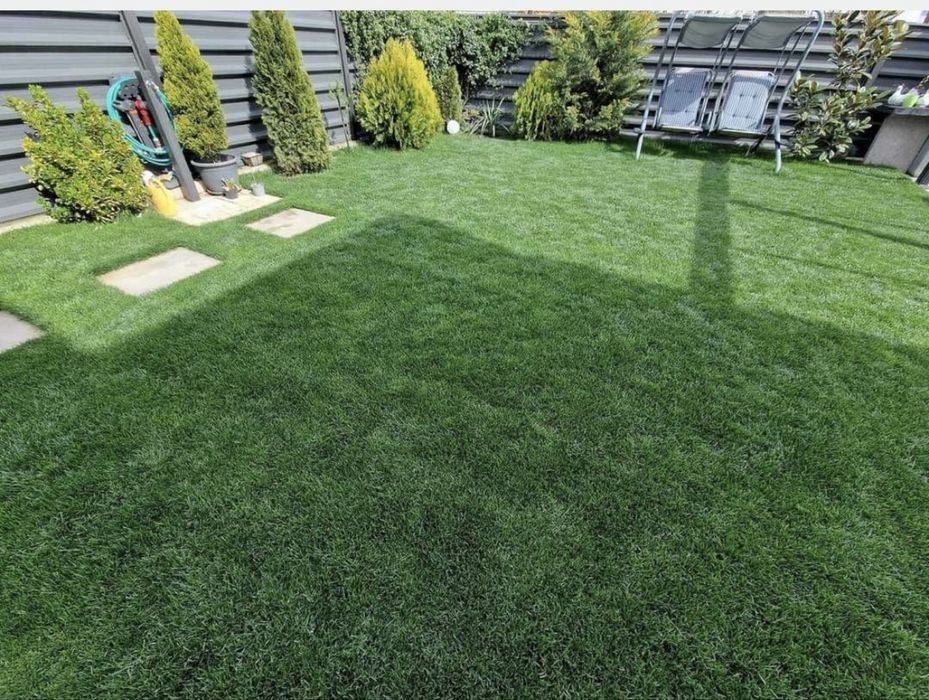 Gazon rulou - Montaj pe Loc la Tine Acasa