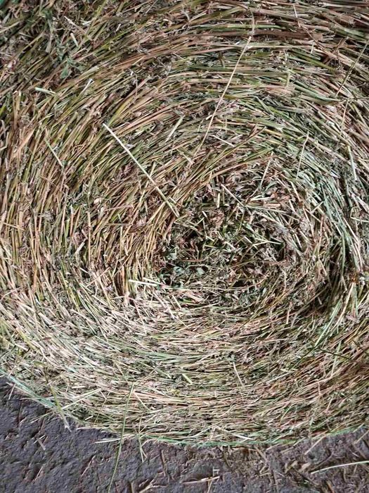 Продавам бали чиста люцерна втори откос