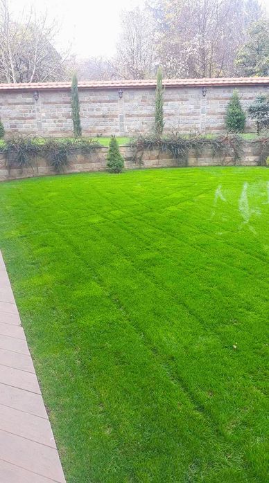 Косене на трева. Озеленяване и поддръжка на дворове