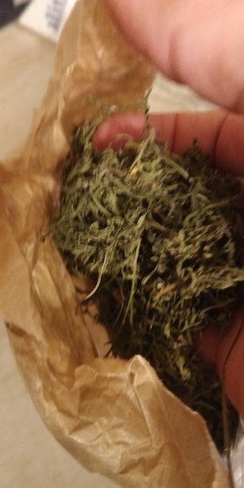 Peliniță bio  ceai 100 g