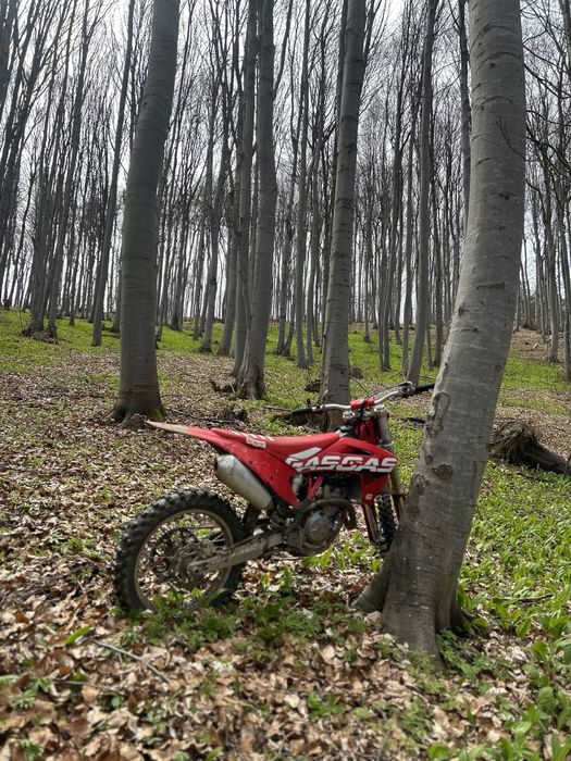 Gas gas mc250f