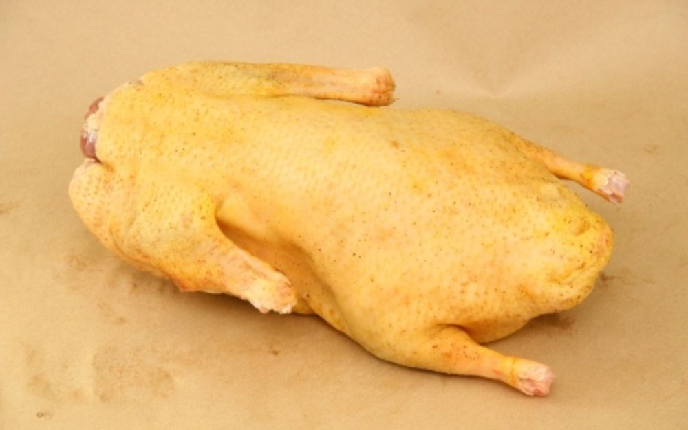 Тушки  гусей домашних