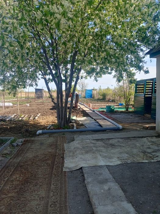 Продам дачу в городе Алга в 1 коллективе рядом речка